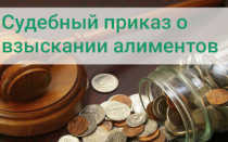 Куда нести судебный приказ о взыскании алиментов