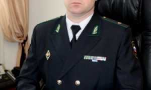 Судебный пристав Ткаченко Дмитрий Геннадьевич